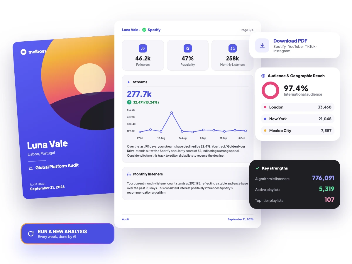 Ai Audit