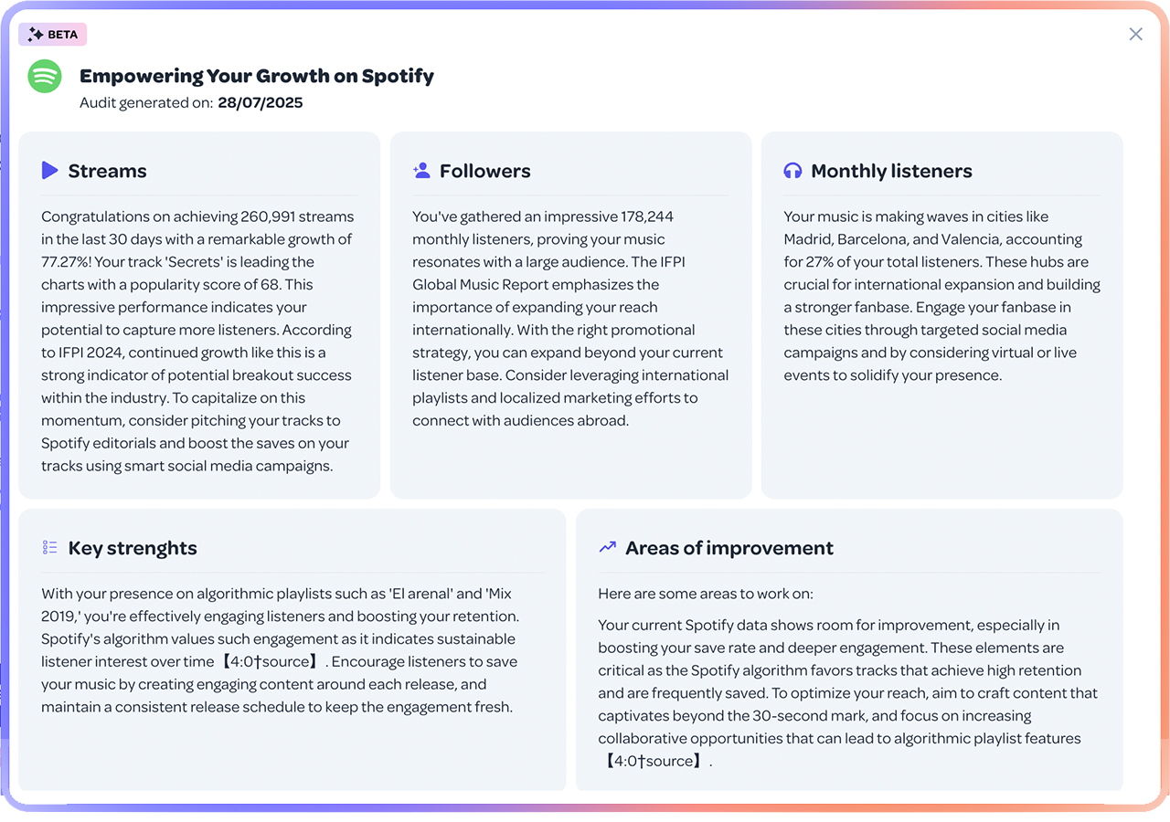 Ai Audit